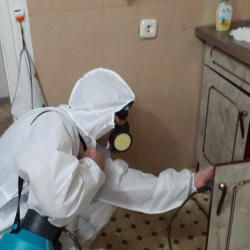 Дезинфекция от муравьев в квартире в поселке имени Воровского