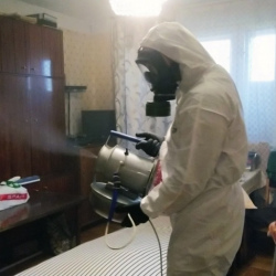Дезинфекция от клопов в поселке имени Воровского