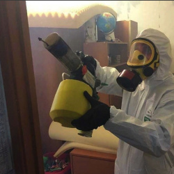 Уничтожение клопов в квартире. поселок имени Воровского