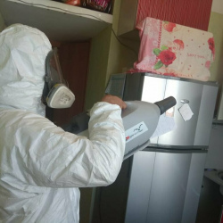 Уничтожение насекомых в квартире. поселок имени Воровского